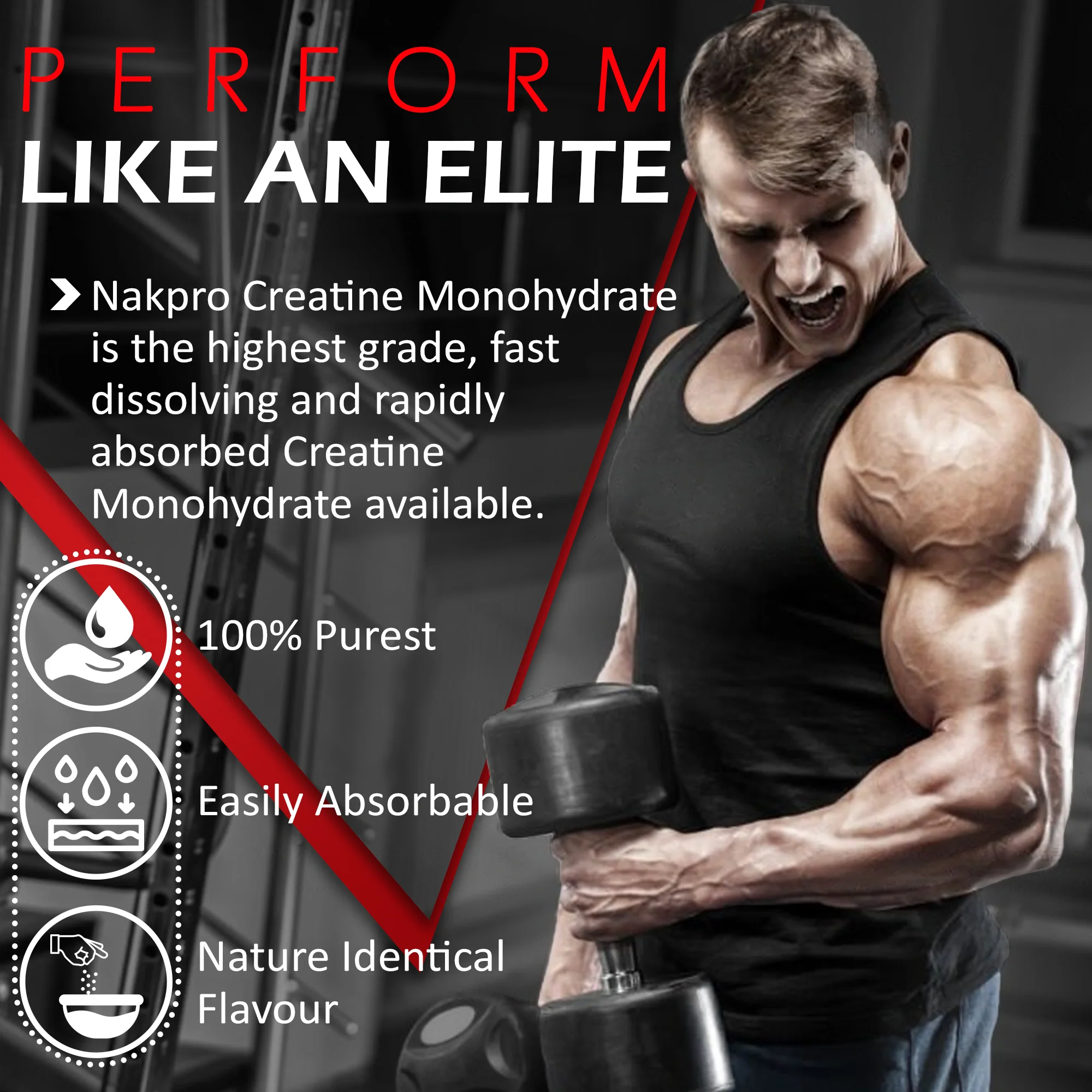 Micronized Creatine Monohydrate - Image 118