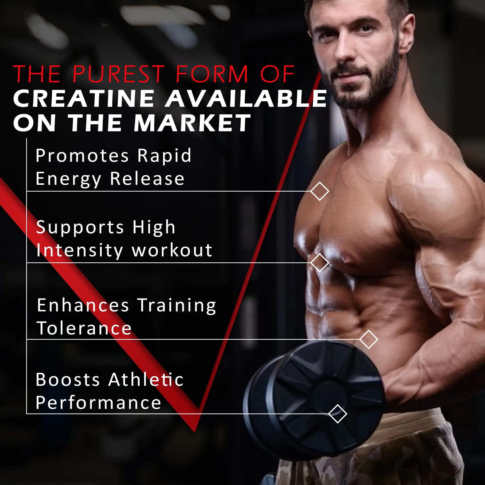 Micronized Creatine Monohydrate - Image 96