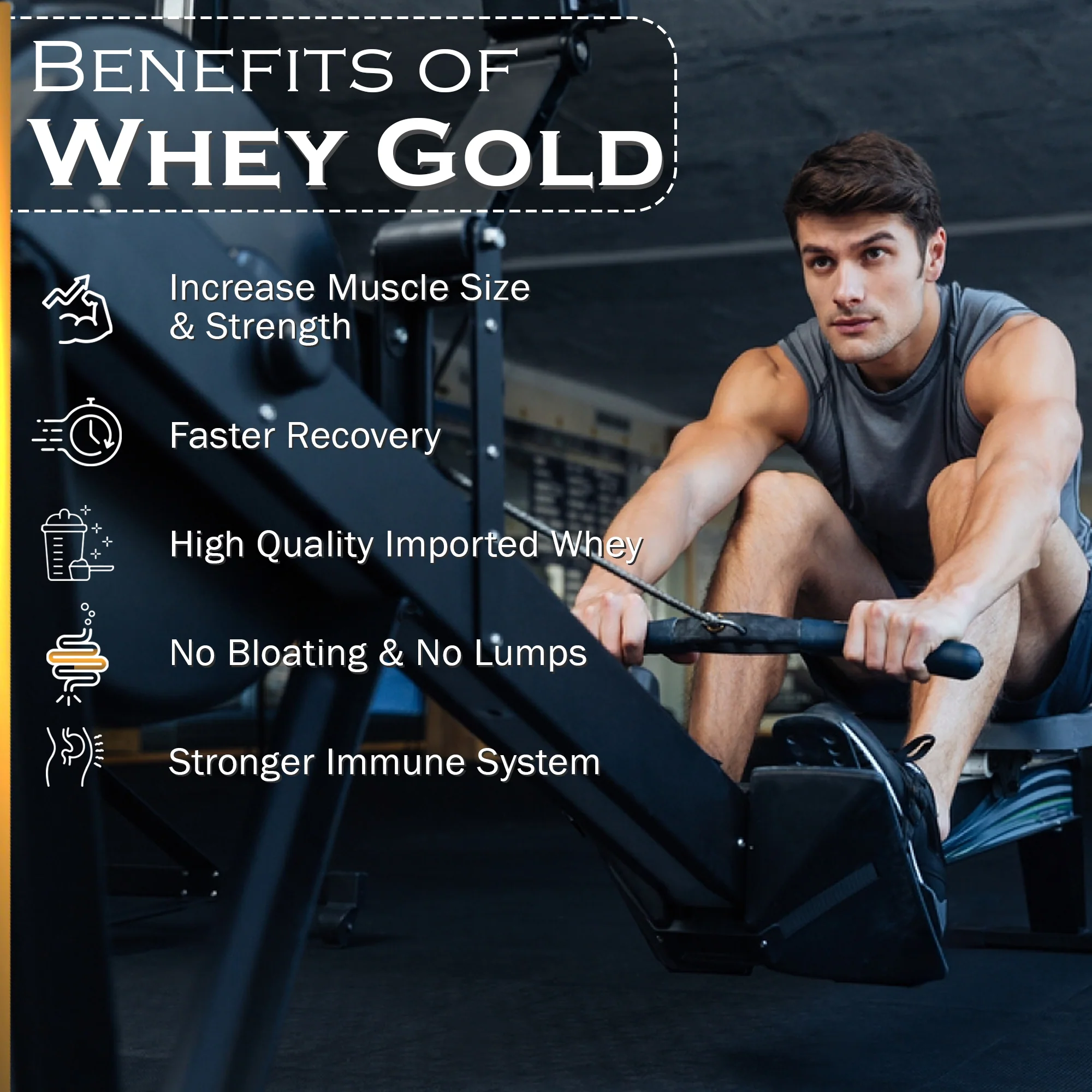 Whey Gold Whey Protein Blend - Image 39